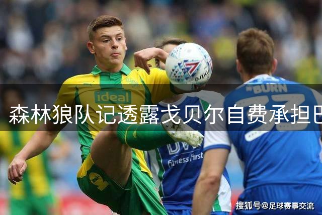森林狼队记透露戈贝尔自费承担巴黎集训所有开支